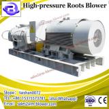 Chinese High quality Roots Air Blower for Industrial Machinery