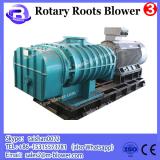 Customerized rotary trilobe blower