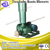 Customerized lobe roots blower